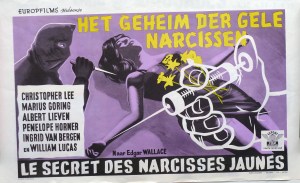 Das Geheimnis der gelben Narzissen